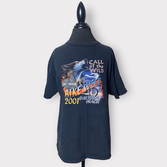 VTG HARLEY DAVIDSON HOLOUBEK BIKE WEEK TEE - Picture 2 of 10